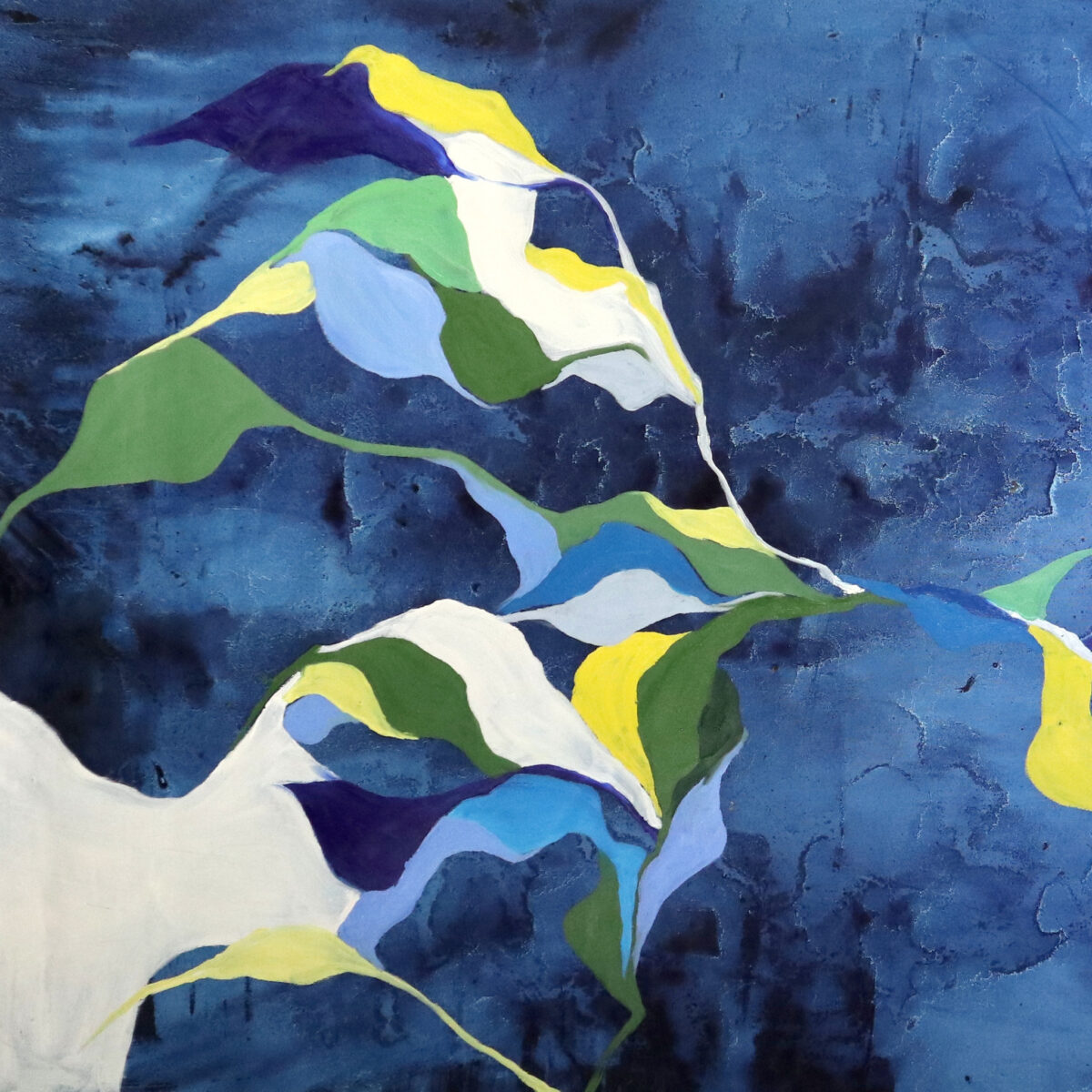 Jane Nevill